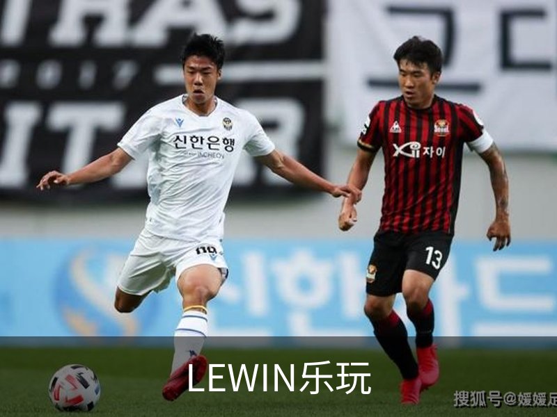 LEWIN乐玩介绍